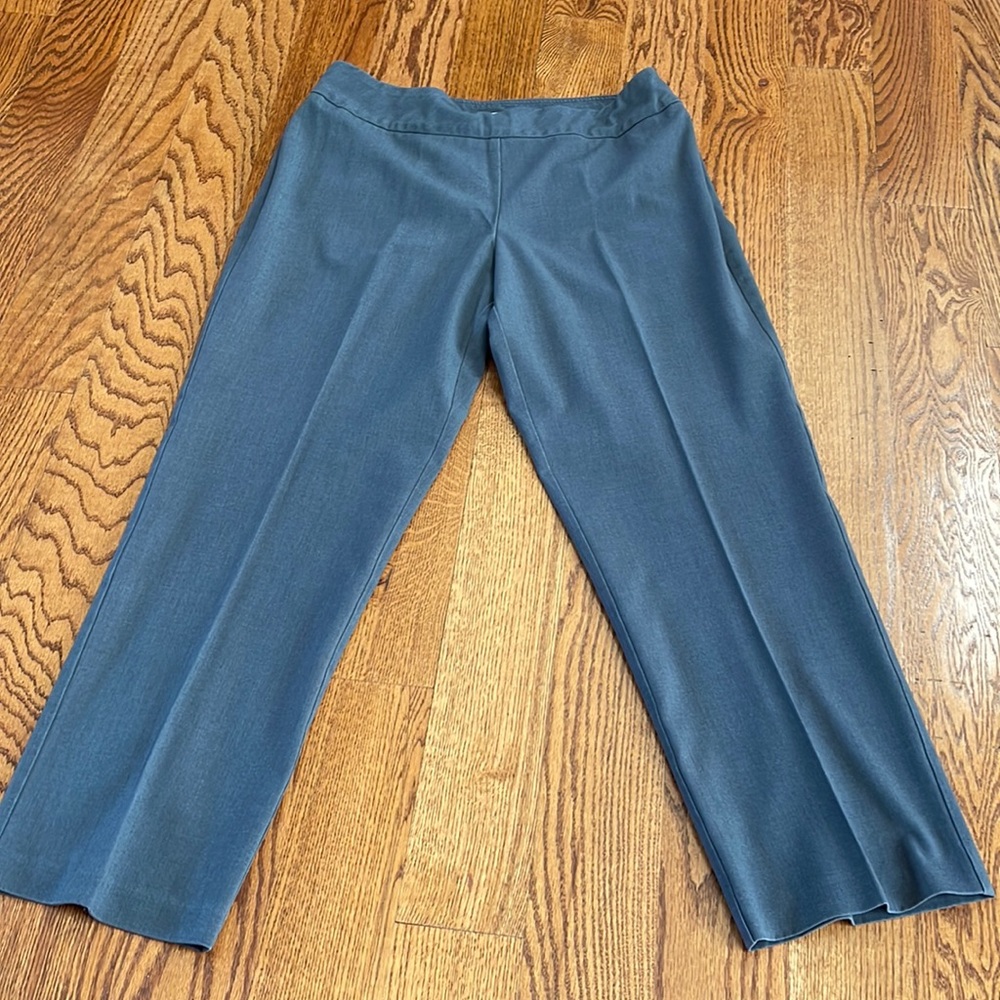 Dressbarn gray 14W pants